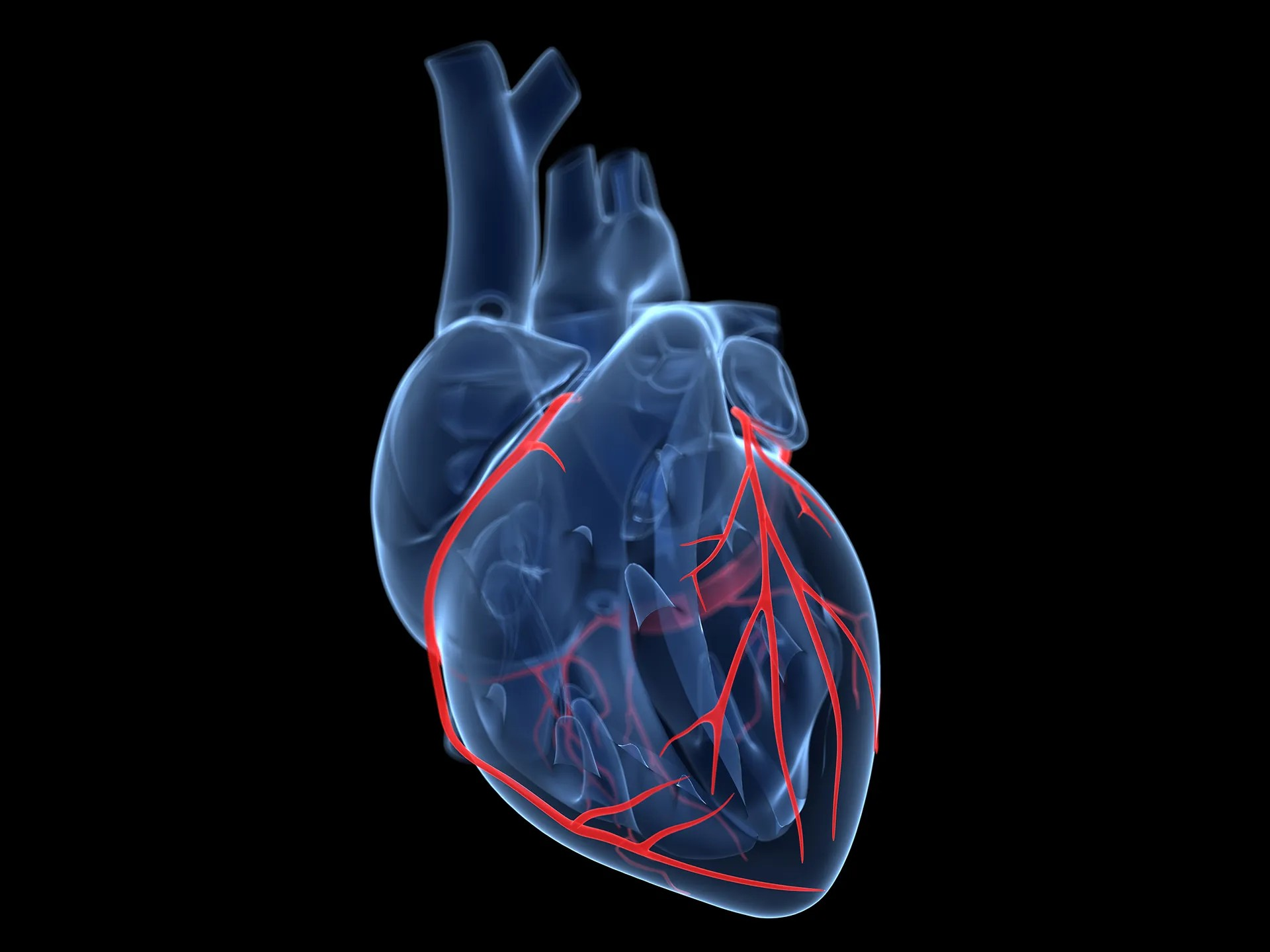 Indicators of Heart Disease